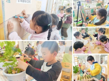 MEITU_20250329_190902322